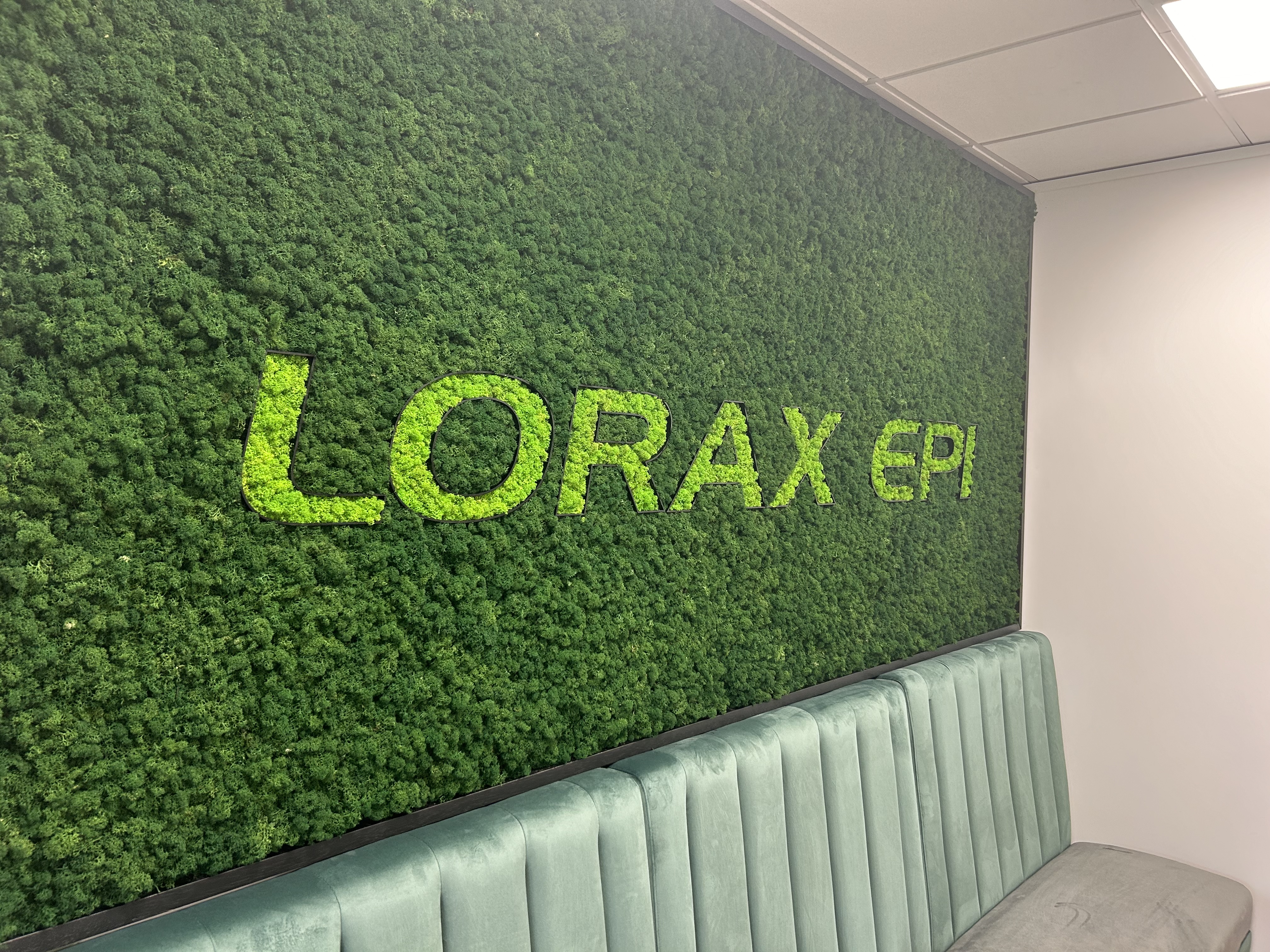 A Year at Lorax EPI: More Than Just a Placement